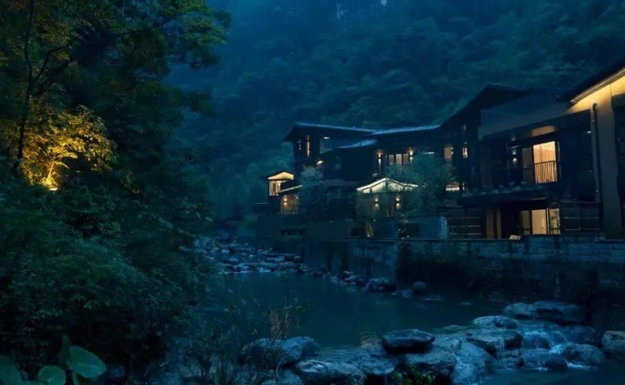 寻找萌宠松鼠